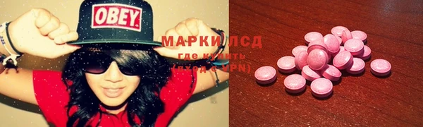 мяу мяу мука Горно-Алтайск