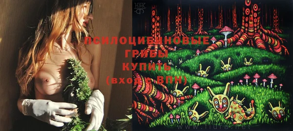 соль курить ск Надым