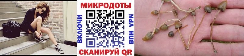 Псилоцибиновые грибы MAGIC MUSHROOMS Кедровый